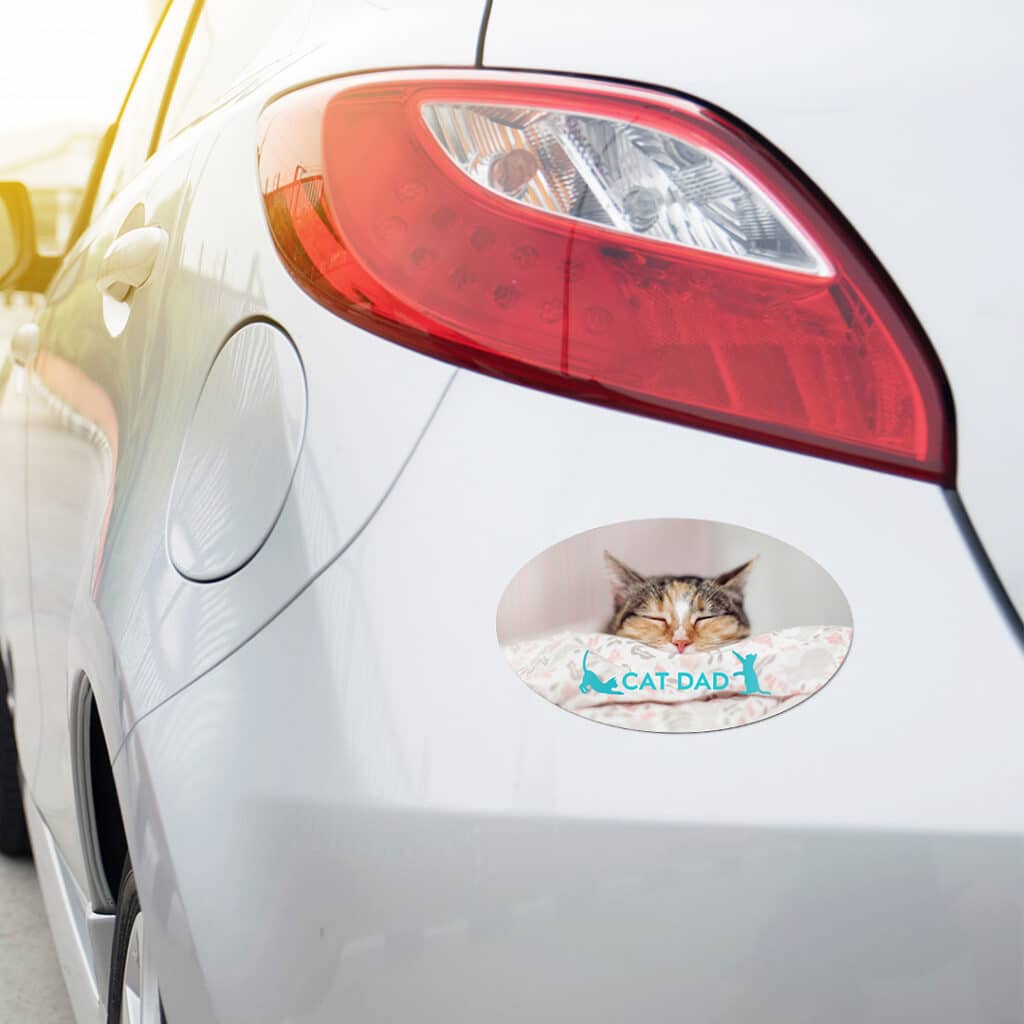 Customize your own animal magnet that can be put on your car or fridge.