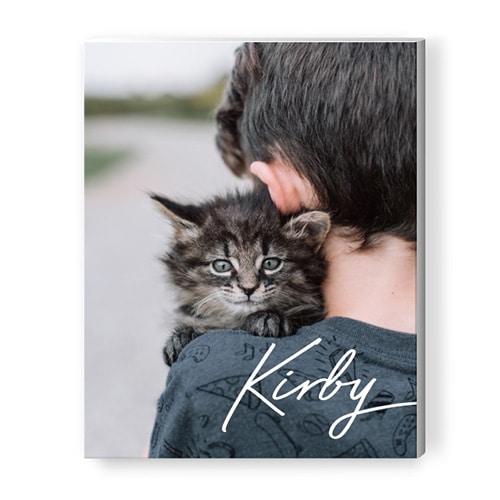 pet portrait with photo of young boy holding a cat