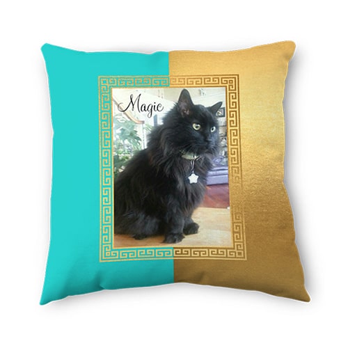 photo pillow with picture of cat