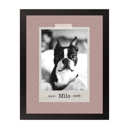 framed pet portrait