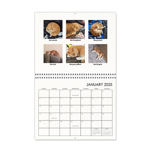 pet photo calendar