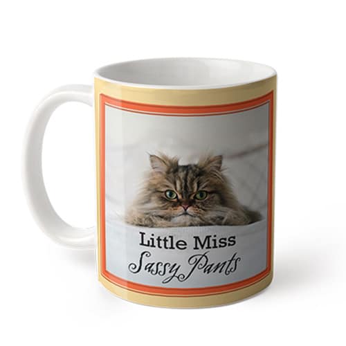 photo mug with cat picture
