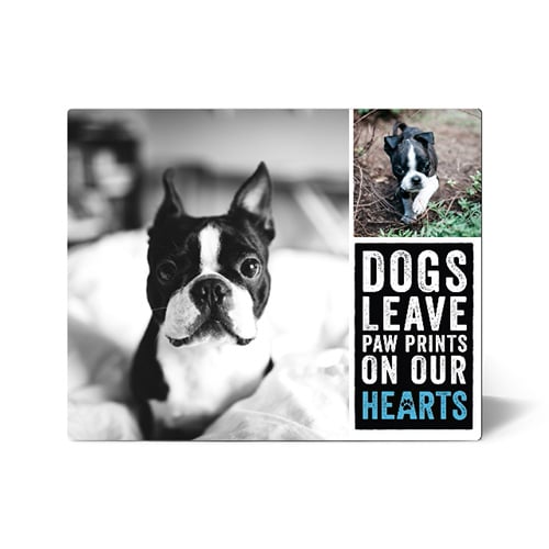 pet memorial tabletop photo panel